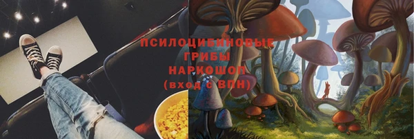 бошки Богданович