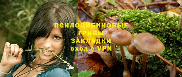 альфа пвп Магас