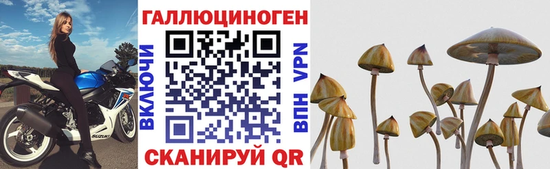 Галлюциногенные грибы Psilocybine cubensis  Ялта 