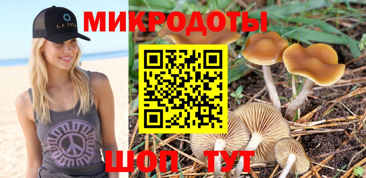 Галлюциногенные грибы Magic Shrooms  Псилоцибиновые грибы Psilocybine cubensis  Ялта 