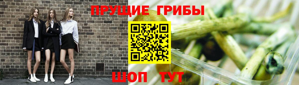 Ялта  Псилоцибиновые грибы MAGIC MUSHROOMS  Вход с VPN 